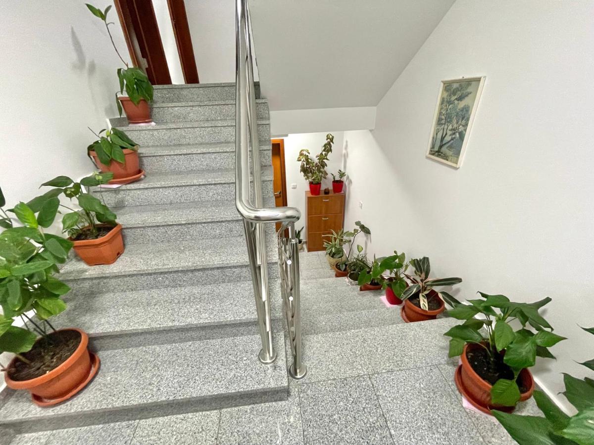 Apartments Boreta Becici Budva Exterior foto